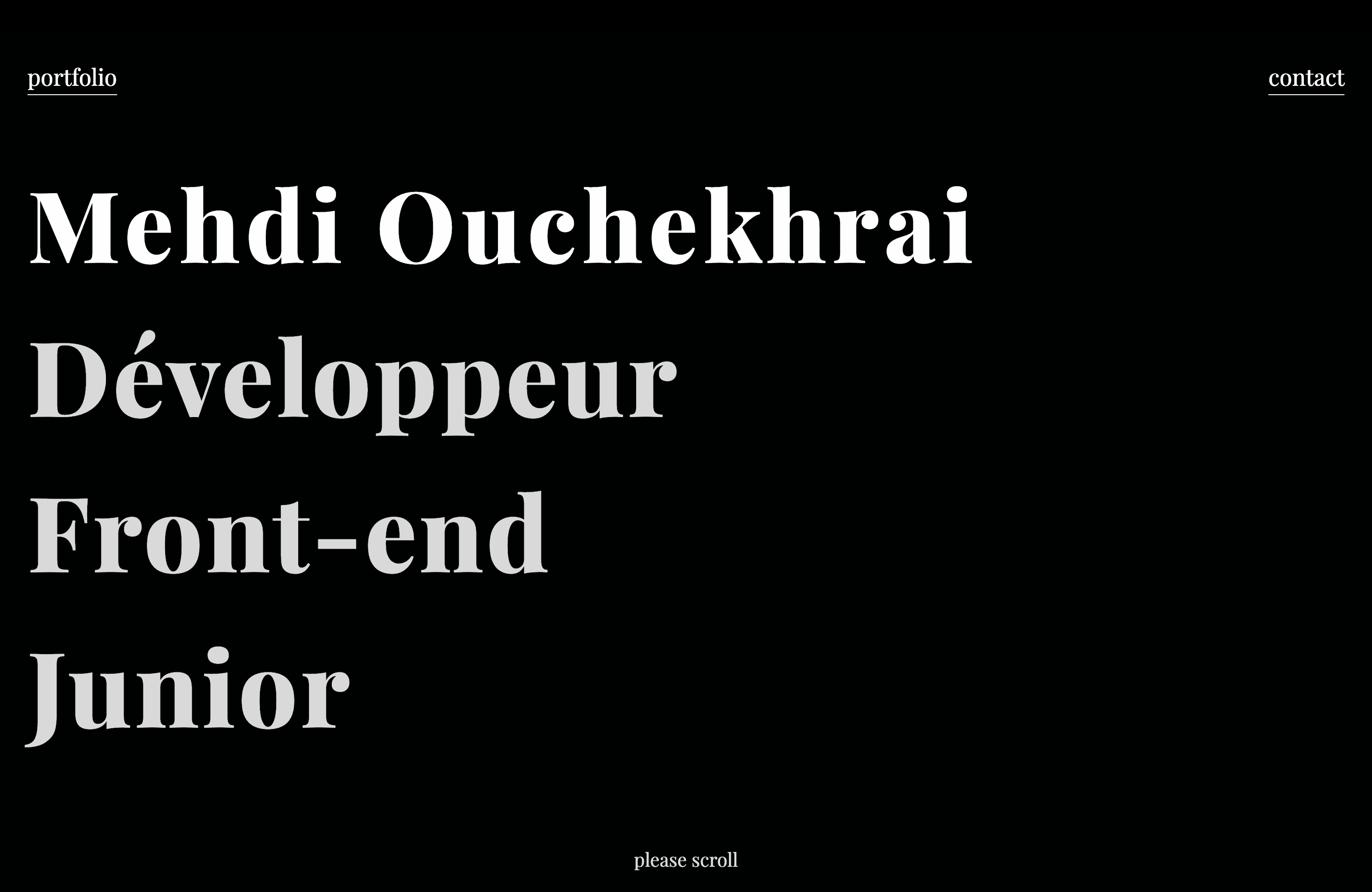 First portfolio